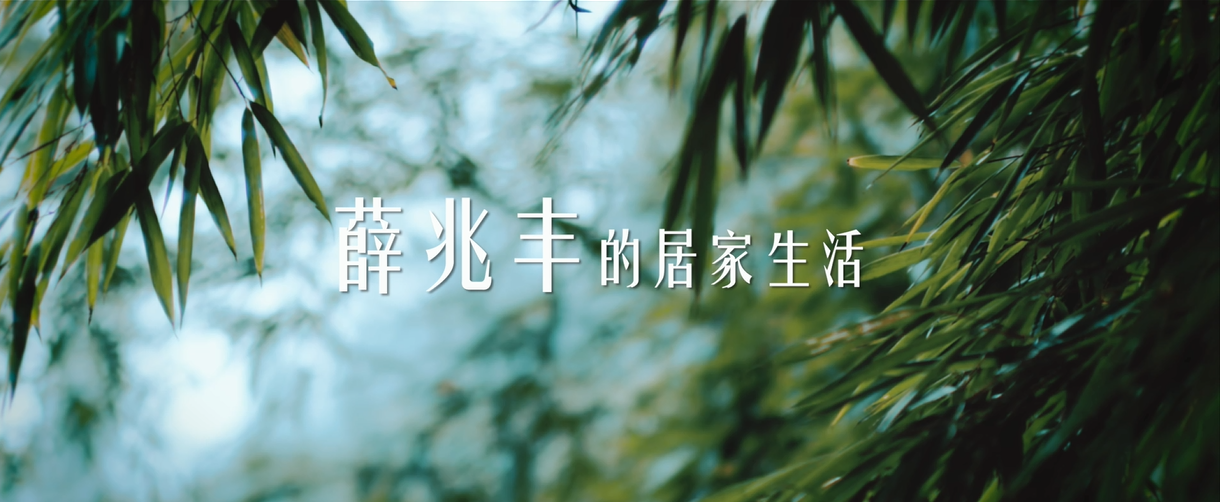 【LEWIN乐玩x薛兆丰】从经济学出发，带来一场全新思辨，用人工智能代替重复劳动，开启居家卫净新净界！